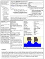 Tarleton Checklist State Checklist Administrative T Shirts Danny So Black Shirts State Forms O Liability Waiver Shelby O Constructed Device O Team Course Hero