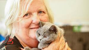Cat Association of the Northern Territory: cat show feature