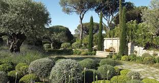 pin by genevieve dudzicki on jardin mediterranean landscaping mediterranean garden provence garden