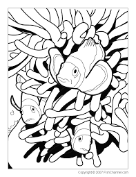Check spelling or type a new query. Free Clown Fish Coloring Pages