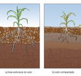 Impacto da Compactação do Solo na Distribuição de Água: Erosão e Estresse  Hídrico