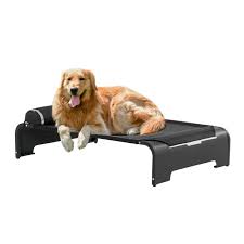 Maybe you would like to learn more about one of these? Pawhut Elevated Dog Bed W Removable Pillow Raised Pet Bed W Steel Frame Breathable Mesh Fabric For Large Sized Dogs Black Walmart Com Walmart Com