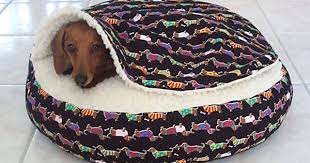 Dachshund Small Dog Bed Snuggle Bed For Burrowing Dog Dog Beds For Small Dogs Dog Bed Weenie Dogs