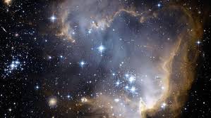 Berikut lambang zodiak / sio umum beserta artinya: Mengenal Nama Nama Zodiak Urutan Dan Sejarah Astrologi