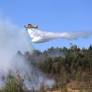 Germany Faces Challenges in Forest Firefighting Amid Belgian Wildfires and Limited Aerial Support