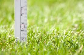 Maybe you would like to learn more about one of these? Mowing Tip Don T Scalp Your Lawn Lawn Doctor