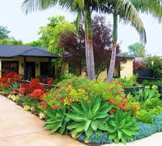 Favorite Front Yard Desgn Ideas Tropical Landscaping Tropical Garden Design Succulent Landscape Design