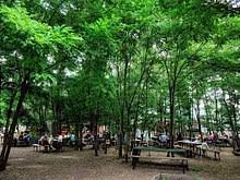 Here, exclusively agricultural crops are cultivated, locally and organically. Prinzessinnengarten Wikipedia