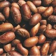 Image result for Garcinia huillensis