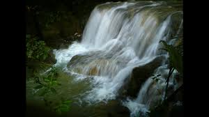 Pada sore musim panas, anda akan berkesempatan. Travel Rainforest Waterfall Limestone Bukit Ayer Perlis Air Terjun Batu Kapur Tercantik Youtube