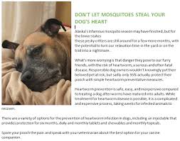 Don T Let Mosquitoes Steal Your Dog S Heart Dogs Heartwormprevention Welovedogs Dog Health Your Dog Heartworm Prevention