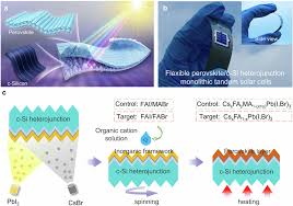 Porno ritawild for VIPs, keep going, if not VIP, I