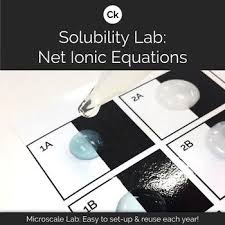 Solubility Lab Net Ionic Equations Solubility Equations Teaching Chemistry