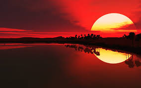 Download best hd, 4k wallpapers for desktop, mobiles, tablets in high quality hd, 1920x1080 full hd, 4k ultra uhd, 5k, 8k suhd popular resolutions. African Sunset Hd Wallpapers Free Download Wallpaperbetter