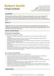 it project coordinator resume samples