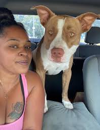 Lost dog named Star in Ocala, Florida