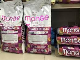 Catfood Panosundaki Pin