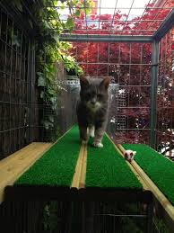 Pin Auf Fur Katzen