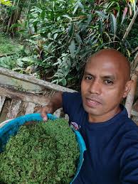 Which method of farming is this