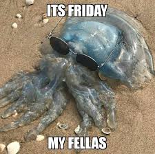 It's friday meme, here are some happy friday images and quotes of the weekdays, friday is the most beloved day of the. The New Friday Meme Memes