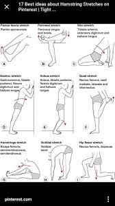 Mobilityexercises Exercicios Para Dor No Joelho Flexores Do Quadril Exercicios De Fisioterapia
