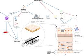18.57 cause of death world rank: A Systematic Review On The Impact Of Diabetes Mellitus On The Ocular Surface Nutrition Diabetes