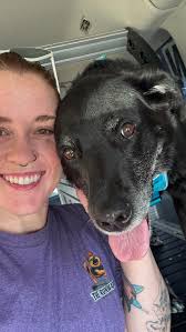 Shake Off the Monday Blues with a Doggy Workout