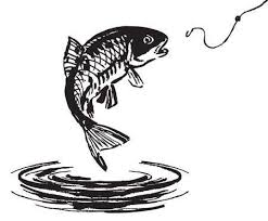 600x605 541 best fish art images on fish art, bass fishing. Jumping Fish Drawing For Kids Novocom Top
