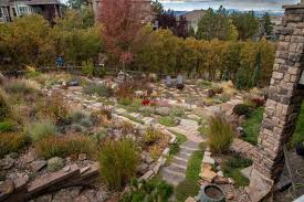 Image result for Maranthes floribunda