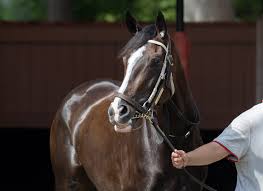 Samantha frank onlyfans leaks The recent news of a