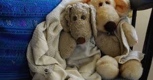 We have built a rapport with many charities across uk working with vulnerable and disadvantaged children and we clean and fix up teddies and then forward. Donating Used Toys And Books Made Easy Seventh Generation