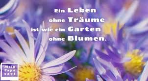 Thema Lebensfreude Zitate Und Weisheiten Mit Bild