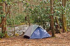 We offer six beautiful spots directly on the river with water and electric service. Camping In The Great Smoky Mountains National Park Vanlife On News Collection