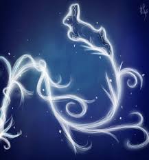 Hermine und otter patronus silhouette kunstdruck/poster 8 x 10 zoll gedruckt auf hochwertigen matten karton gedruckt, ohne wasserzeichen, ungerahmt, und wickelte vor dem senden danke. Harry Potter Wallpaper Patronus