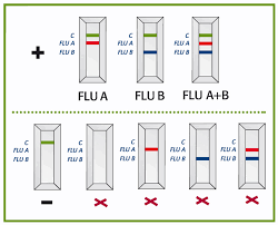 Bionexia Influenza A B Microbiology Testing Biomerieux Australia