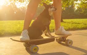 Did your belt rip and you don't know with which to replace it? 12 Best Electric Skateboards Review 2021 Ultimate Guide