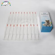 Kucing Kateter Urin Steril 1 0mm 1 3mm Luer Pvc Kateter Urin Untuk Kalkulus Operasi Urin Hewan Perlengkapan Dog Accessories Aliexpress