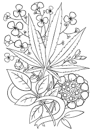 Printable easy trippy coloring pages. Weed Trippy Coloring Page Free Printable Coloring Pages For Kids