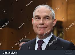 89 Pruitt Royalty-Free Images, Stock Photos & Pictures