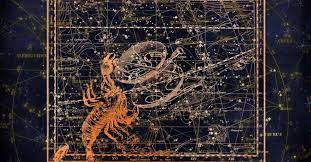 Grijulie, cu un puternic sentiment de incredere in omul ei. Scorpion Zodia Scorpion Femeia Si Barbatul Scorpion In Zodiac
