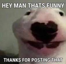 Pin By Samantha Perez On Same In 2020 Stupid Memes Funny Memes Reactions Meme