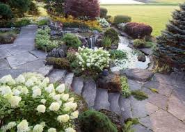 Read this before you purchase your next (or first) bag of lawn food. Be Like Myke Why Mycorrhizal Fungi Is A Good Thing Landscape Ontario