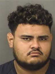 RODRIGUEZ, KERWIN OMAR Charges 316.1935 1 (FT) FLEE/ELUDE POLICE
