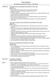 Strategy Business Development Manager Resume Samples Velvet Jobs