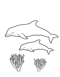Every page within this coloring book for. Coral 163092 Nature Printable Coloring Pages