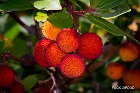 See full list on gardeningknowhow.com Strawberry Tree Flick On Food