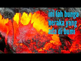 Bunga melati banyak ditemui di daerah pedesaan menggambar sketsa bunga cantik tergantung dari bentuk bunga yang menjadi objek gambar. Ini Lah Bunga Neraka Yang Ada Di Bumi Youtube
