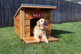 Golden retrievers are large, powerful dogs with long fur and an have a good dog crate and an area of the house where the dog can retreat to when necessary. How To Build A Doghouse