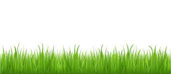 Imagenes Png Buscar Con Google Grass Clipart Grass Vector Spring Grass