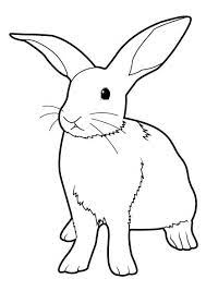 lapin 3 coloriage animaux dessin yoda japonais